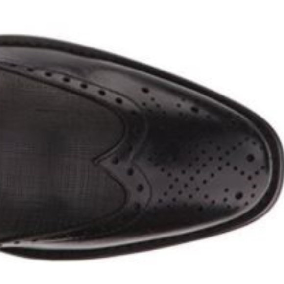 steve madden brogues